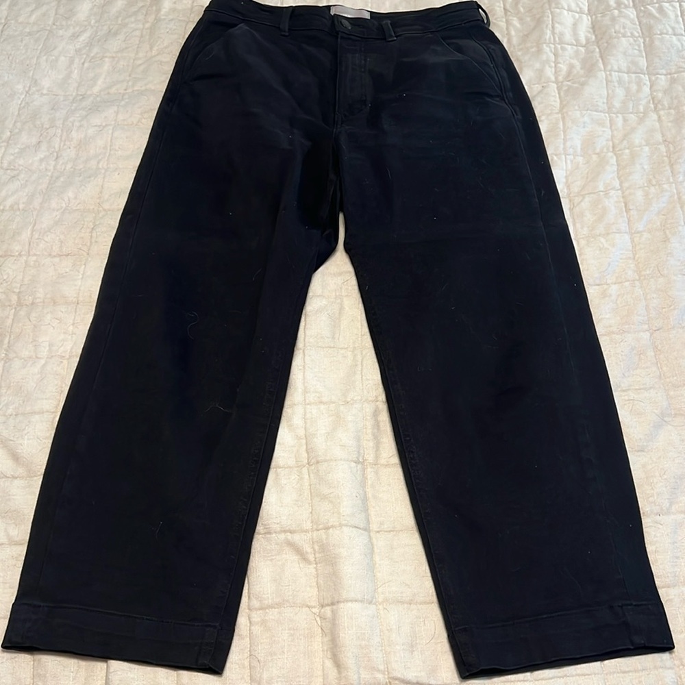 Everlane Straight Leg Crop Chinos